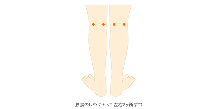 施術範囲目安