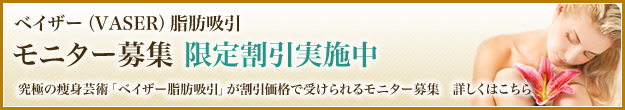 ベイザーモニター限定割引価格