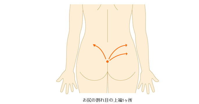 施術範囲目安